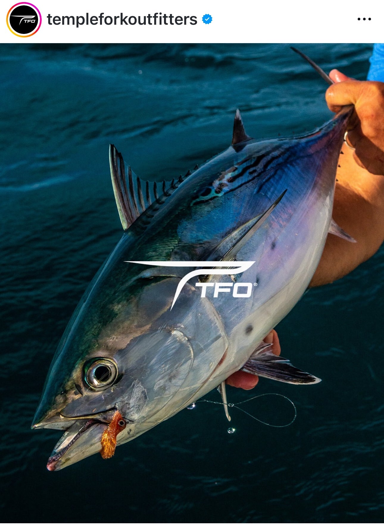 TFO IntraCoastal Spinning Rods - New!
