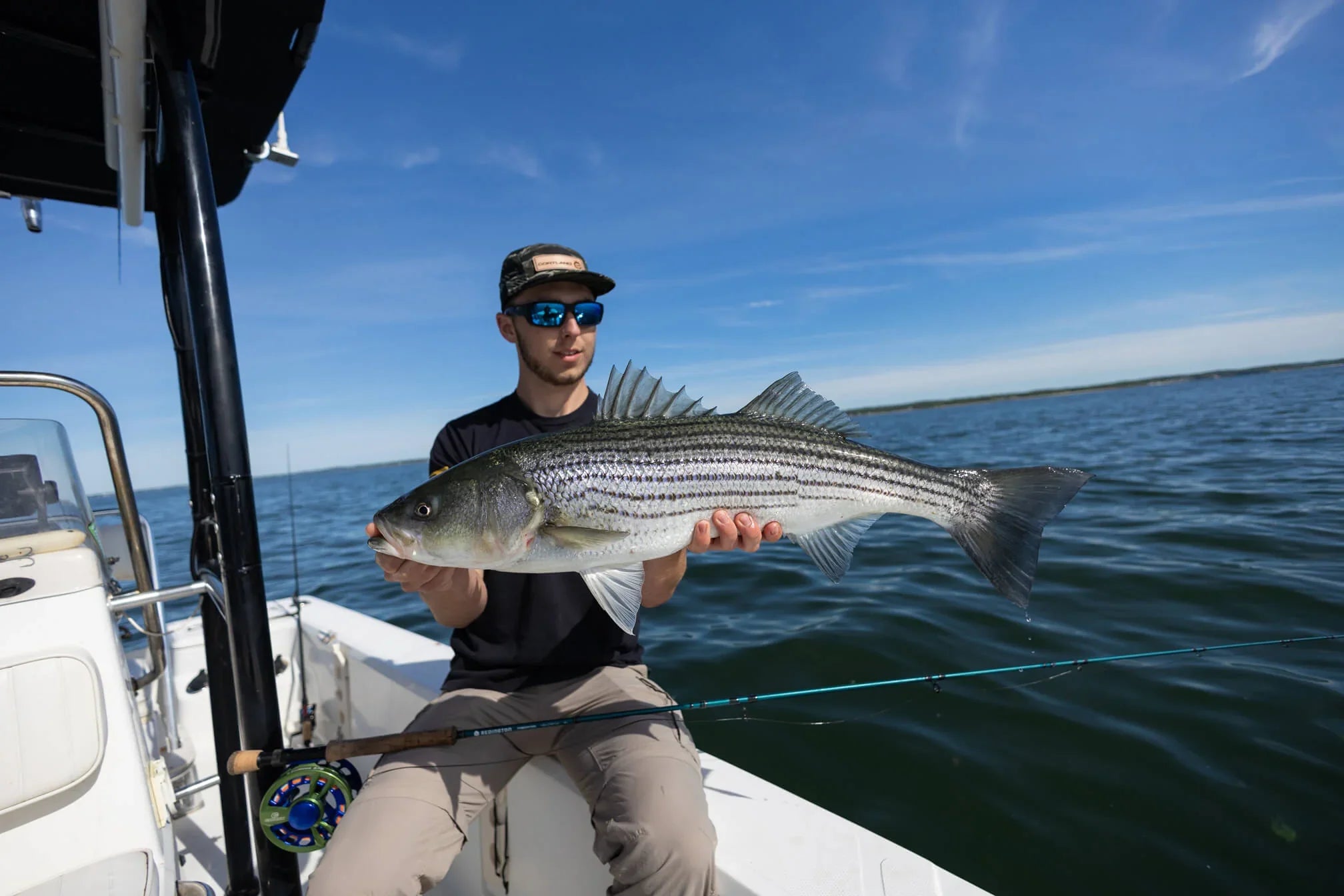 Cortland Striped Bass SINK 8 Fly Line for Striper