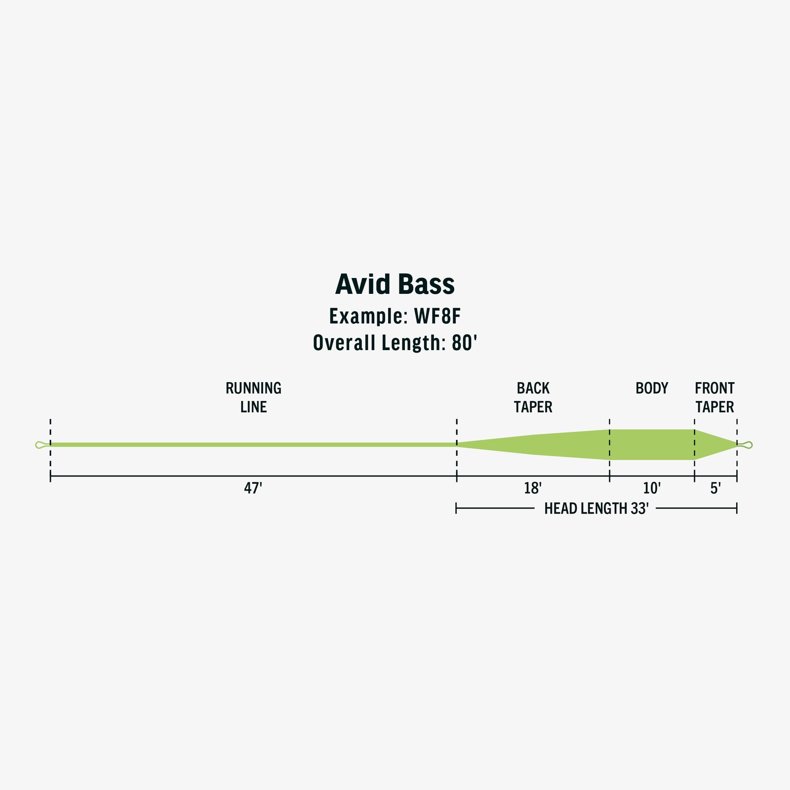 RIO Avid Bass Fly Line - New!