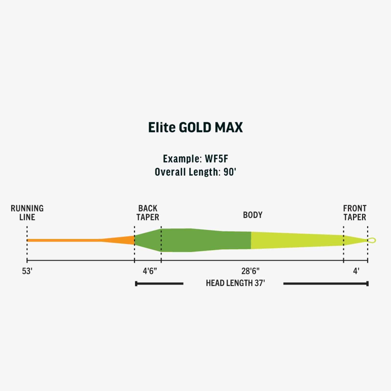 RIO Elite Gold MAX Fly Line - New!