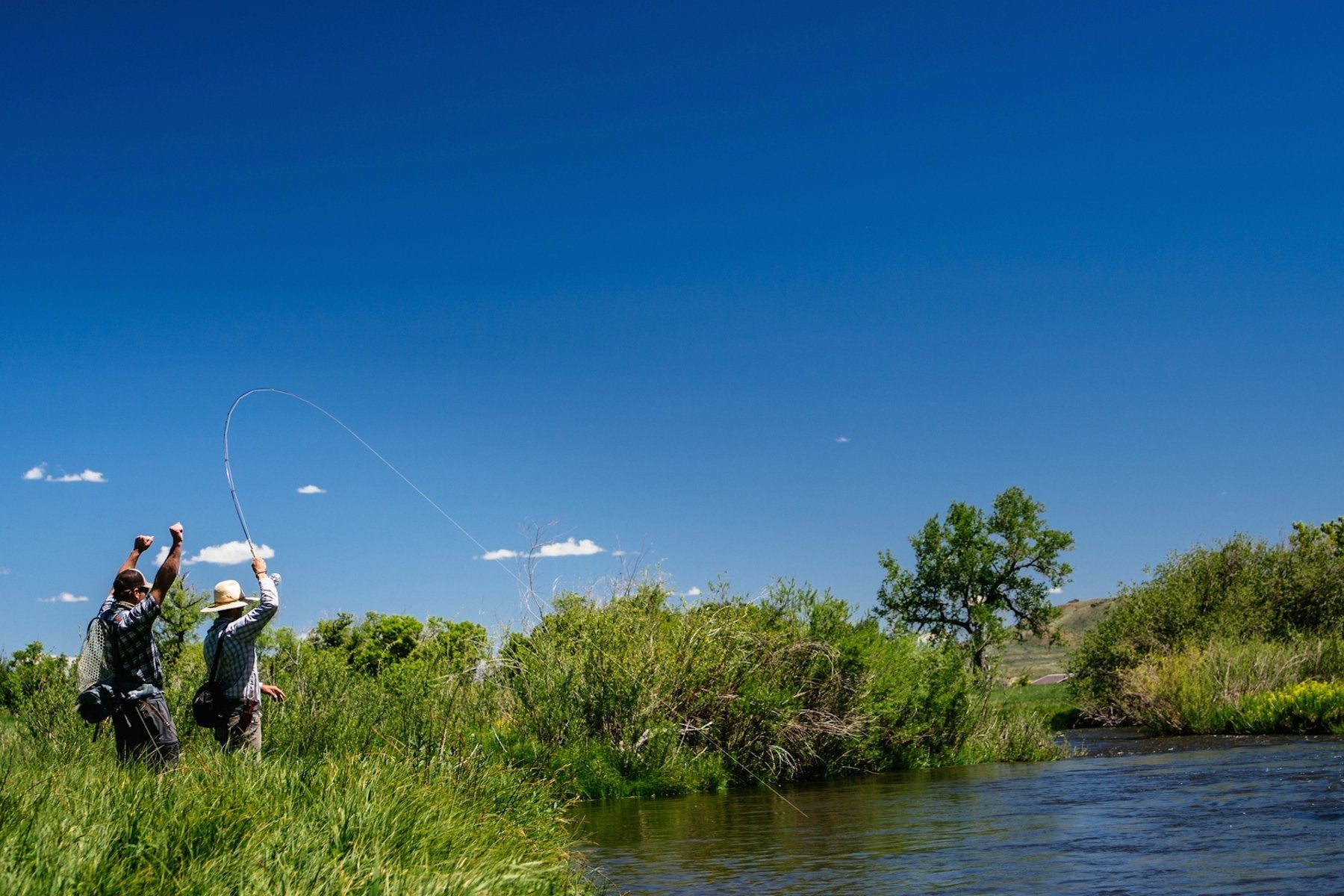 Thomas and Thomas Lotic review