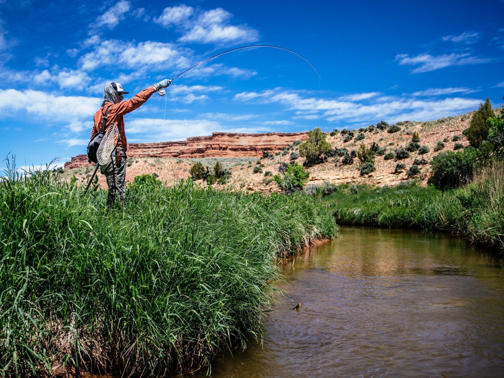 Thomas and Thomas Lotic review