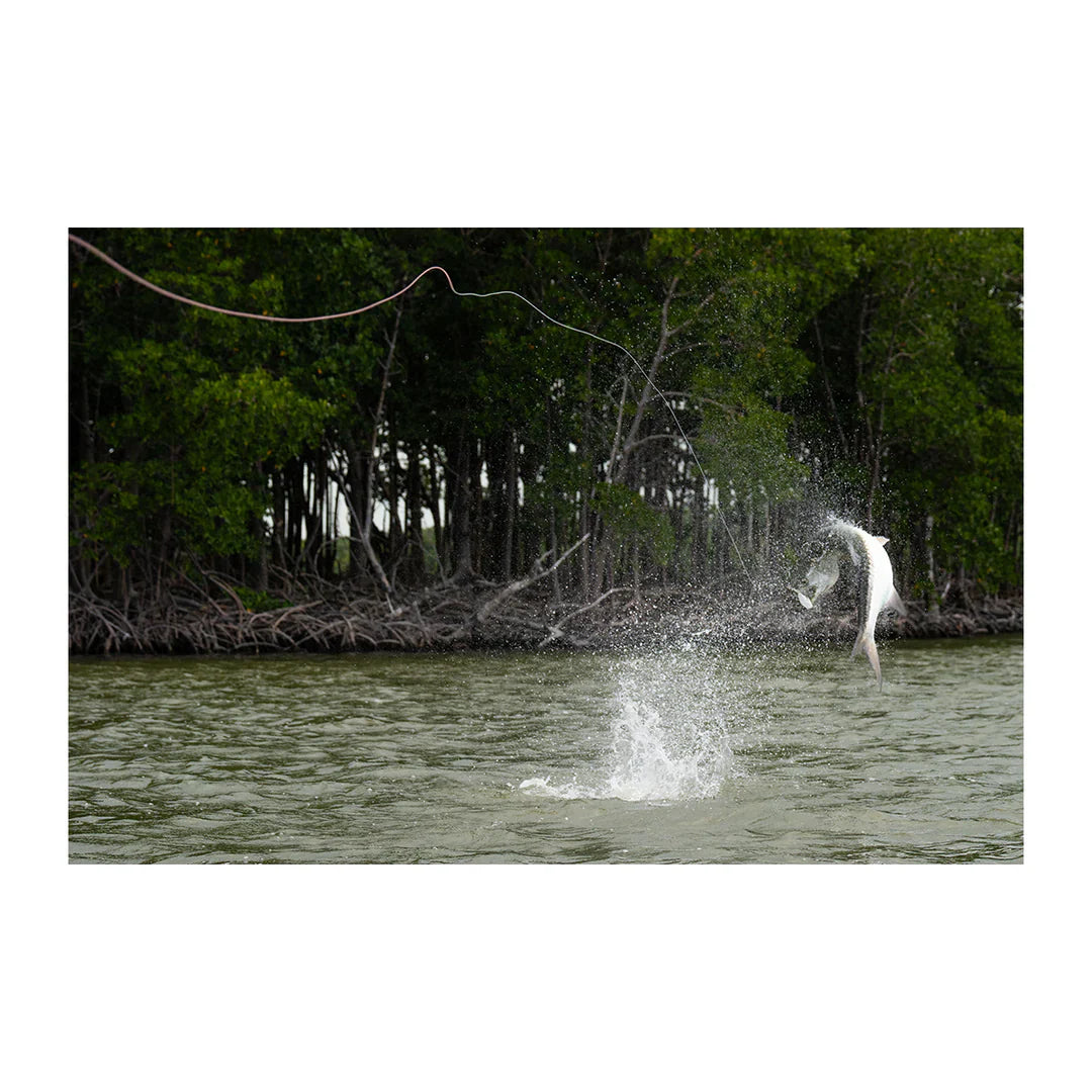 Winston AIR 2 MAX Fly Rods New for Saltwater and Tarpon review test