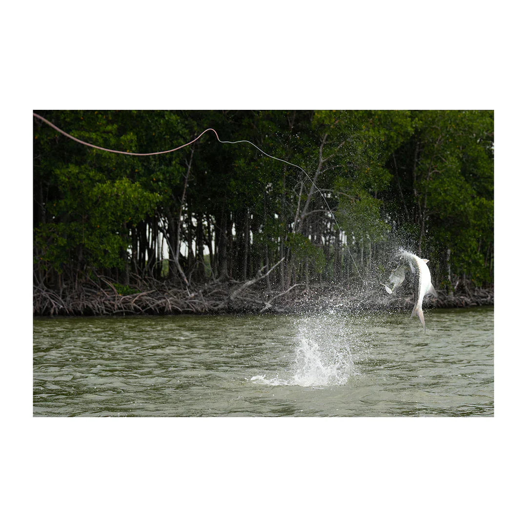 Winston AIR 2 MAX Fly Rods New for Saltwater and Tarpon review test