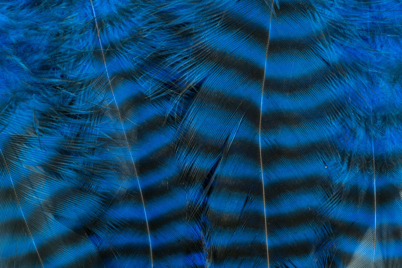 Metz Hackle Predator Pack