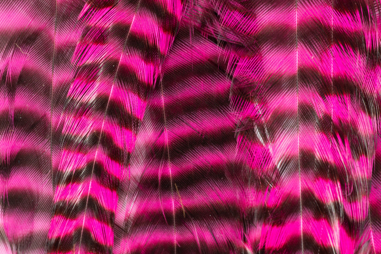 Metz Hackle Predator Pack