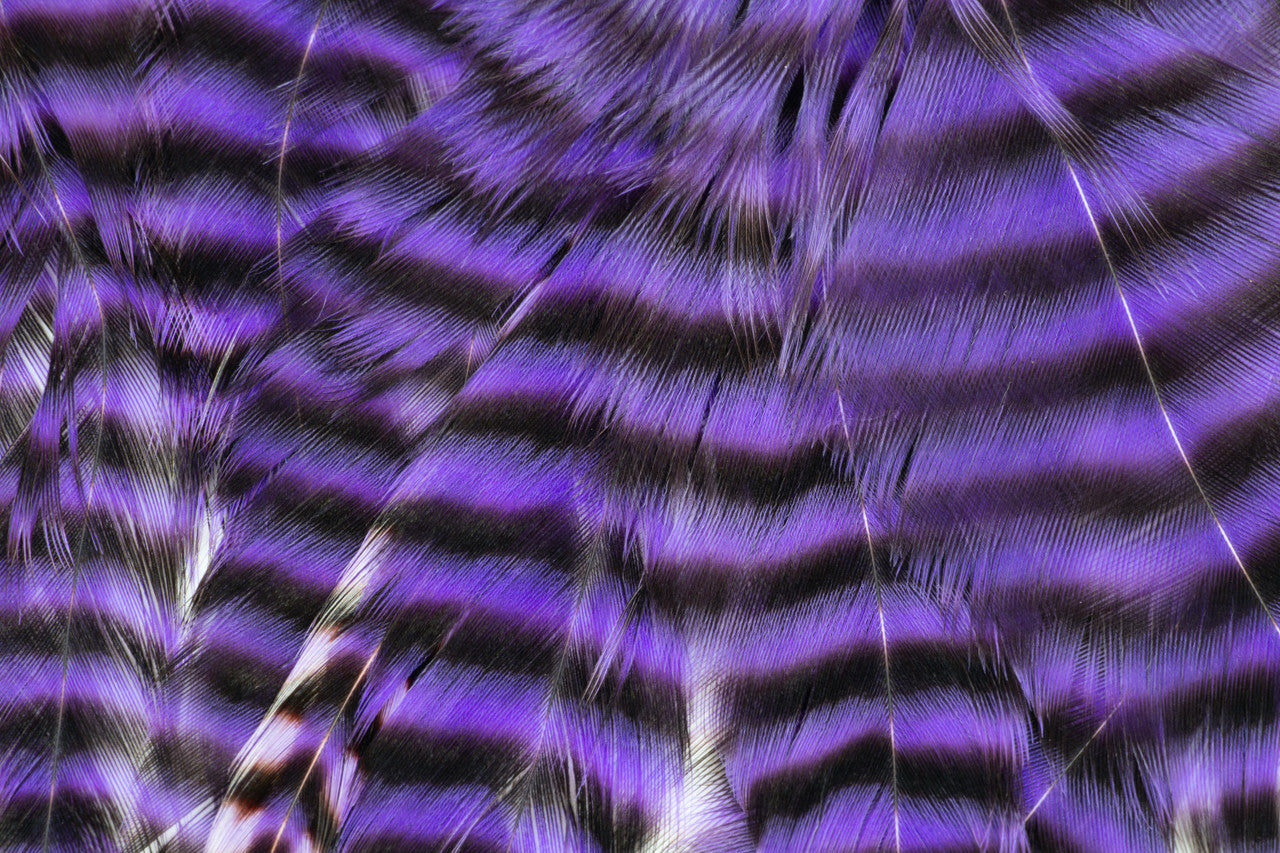 Metz Hackle Predator Pack