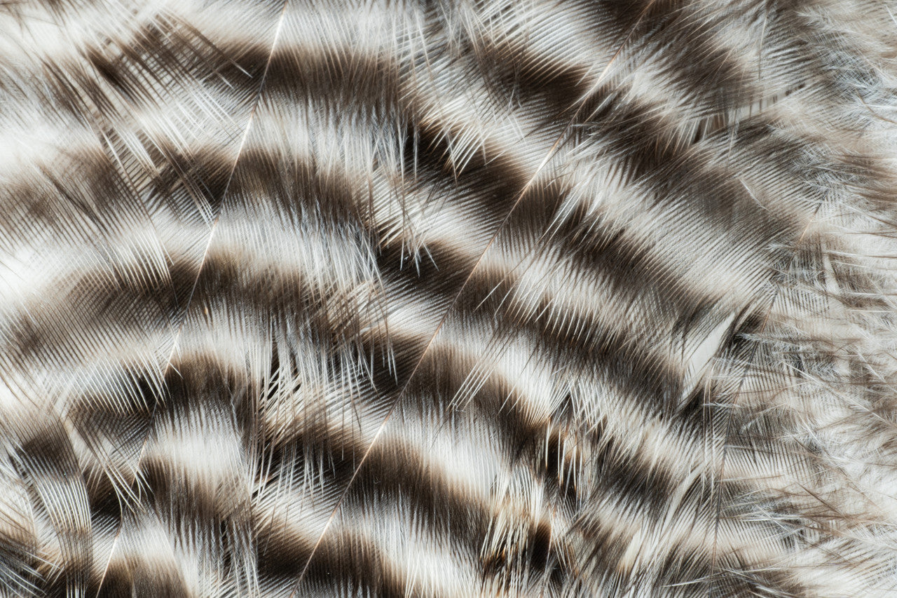 Metz Hackle Predator Pack
