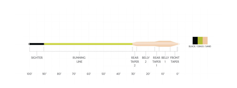 Scientific Anglers Amplitude Smooth STRIPER Fly Line - New for 2025!