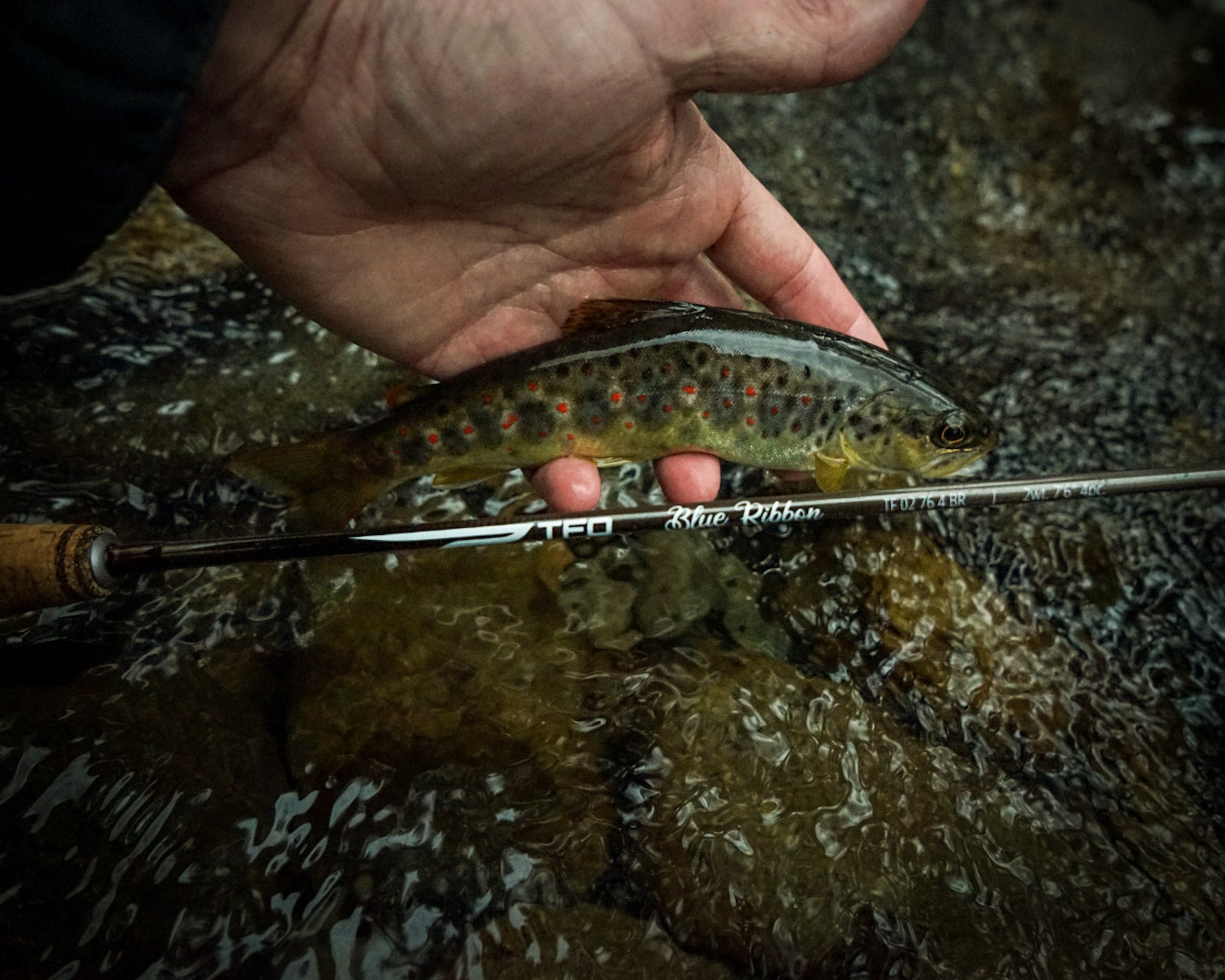 TFO Blue Ribbon Fly Rods