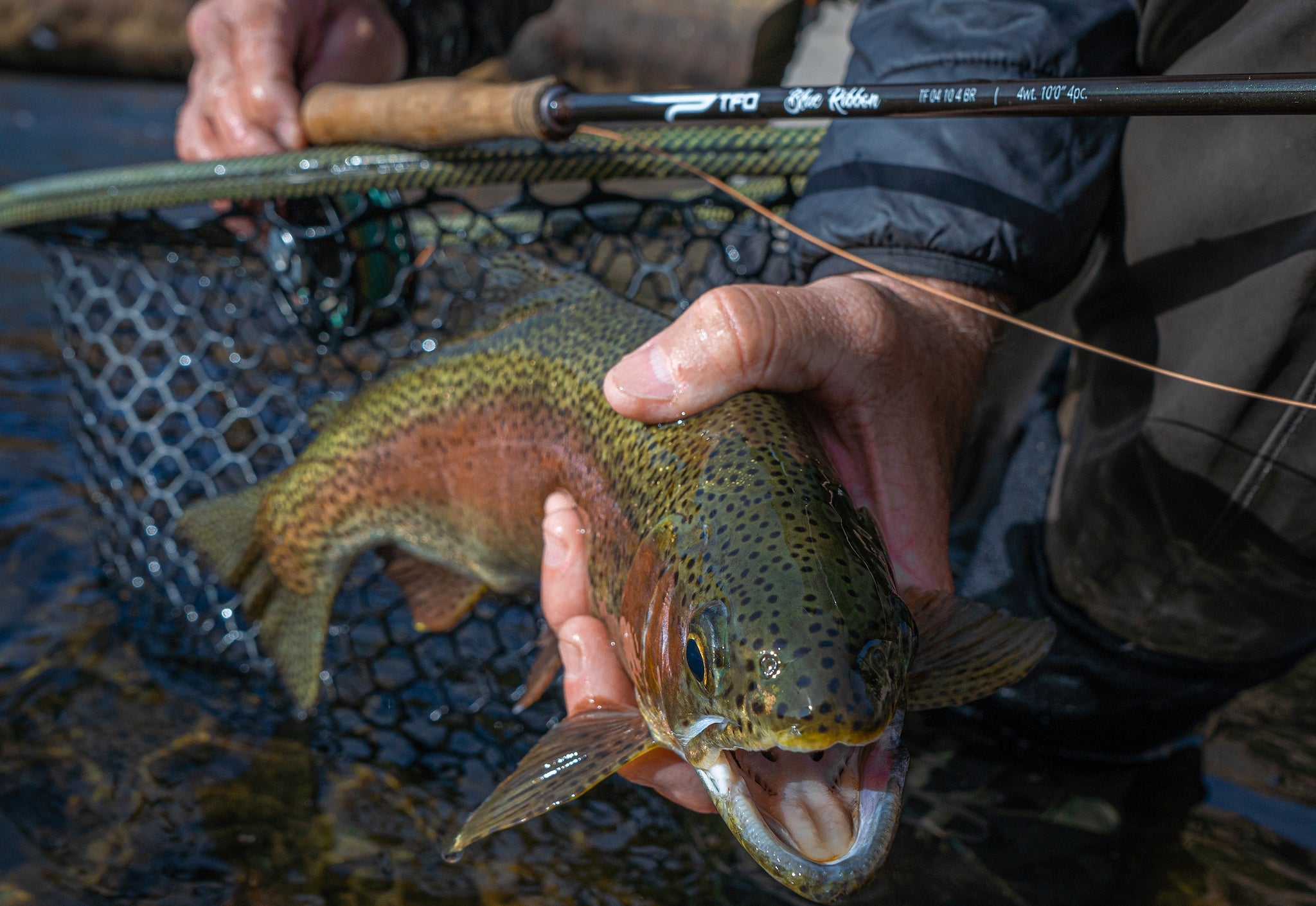 TFO Blue Ribbon Fly Rods