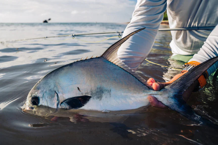 The Xflats - Mexico Fly Fishing Trips