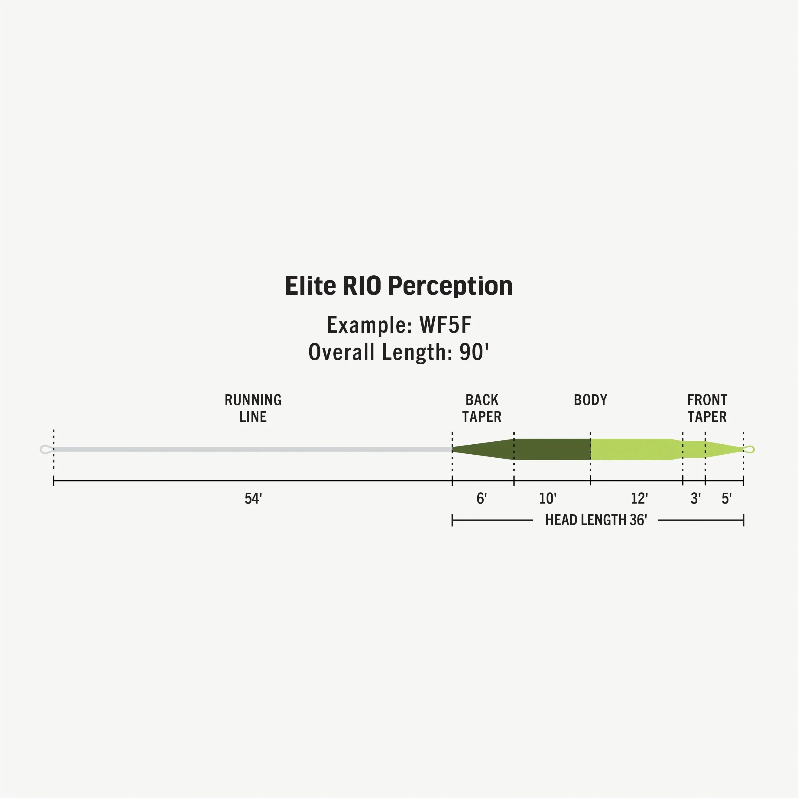 Rio Elite Perception fly line
