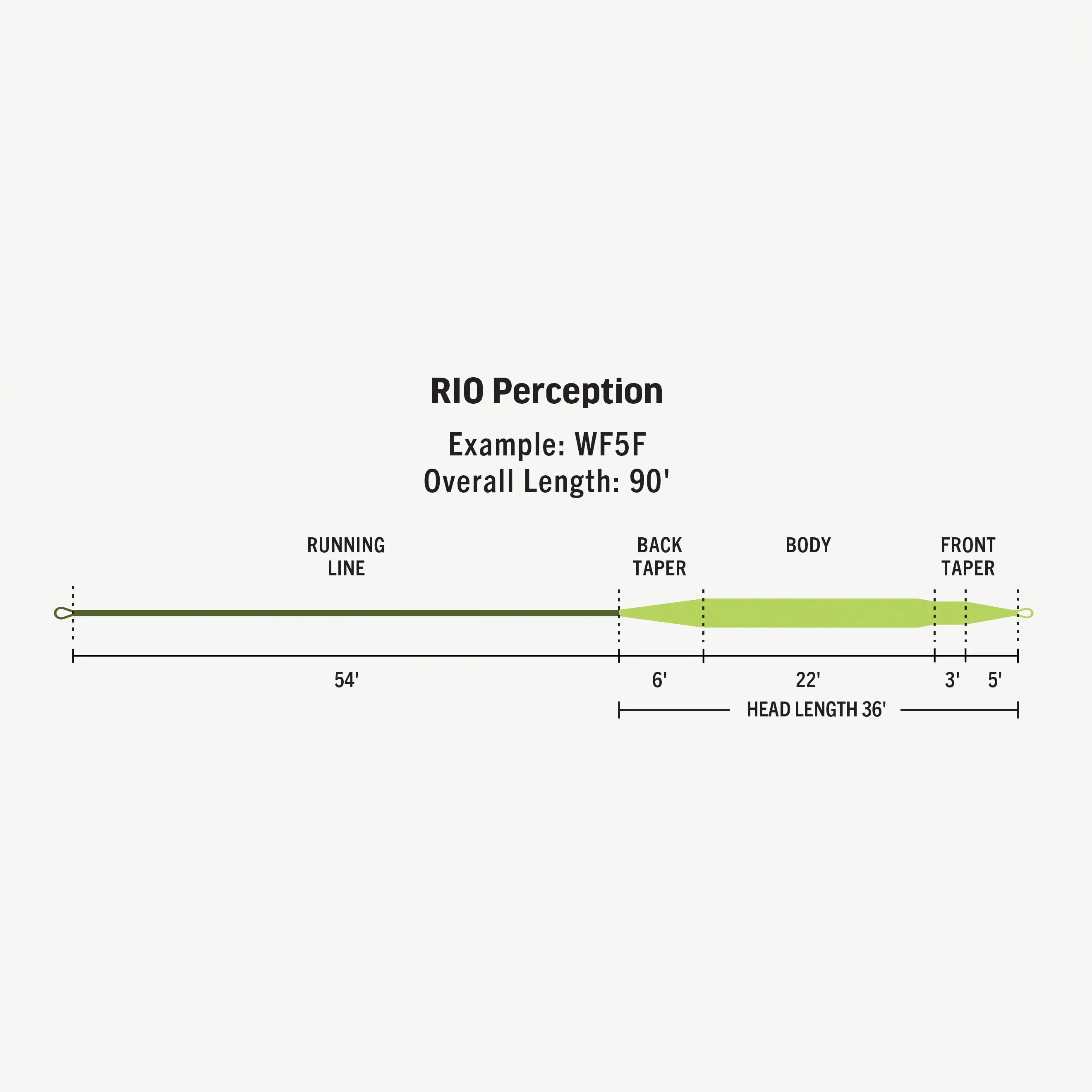 RIO Premier Perception Trout Fly Line