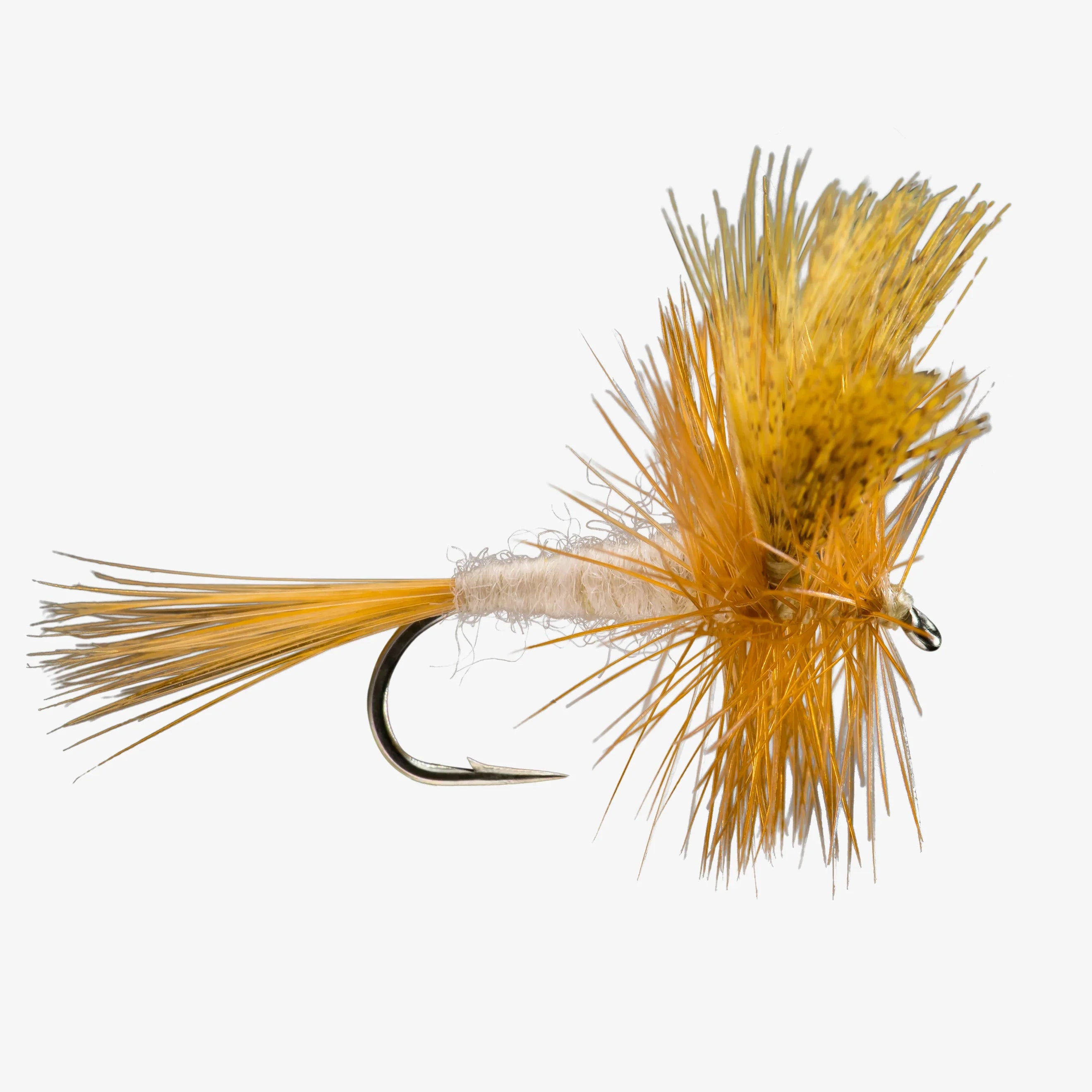 Trout Flies Variety Assortment (Pack of 12)