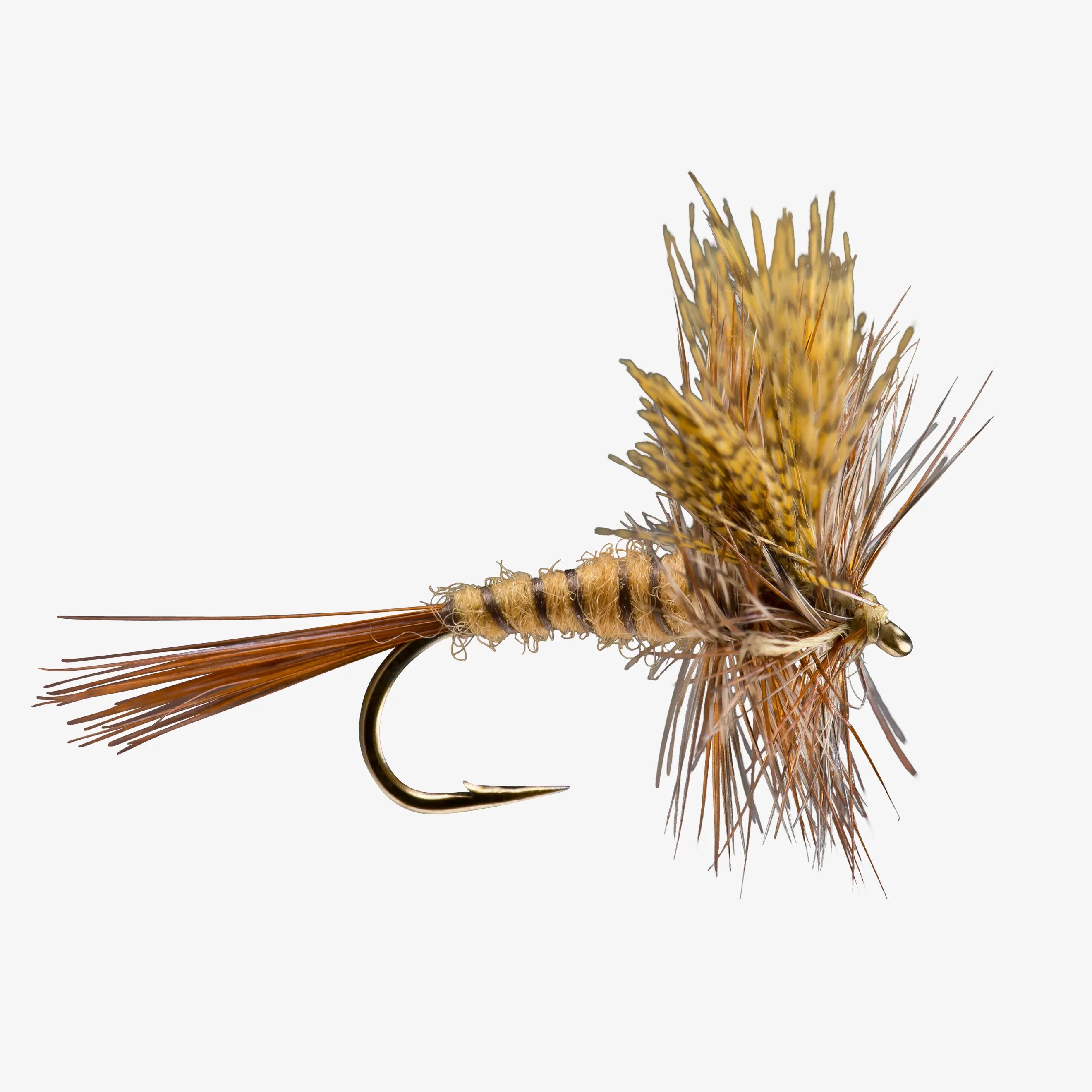 Trout Flies Variety Assortment (Pack of 12)