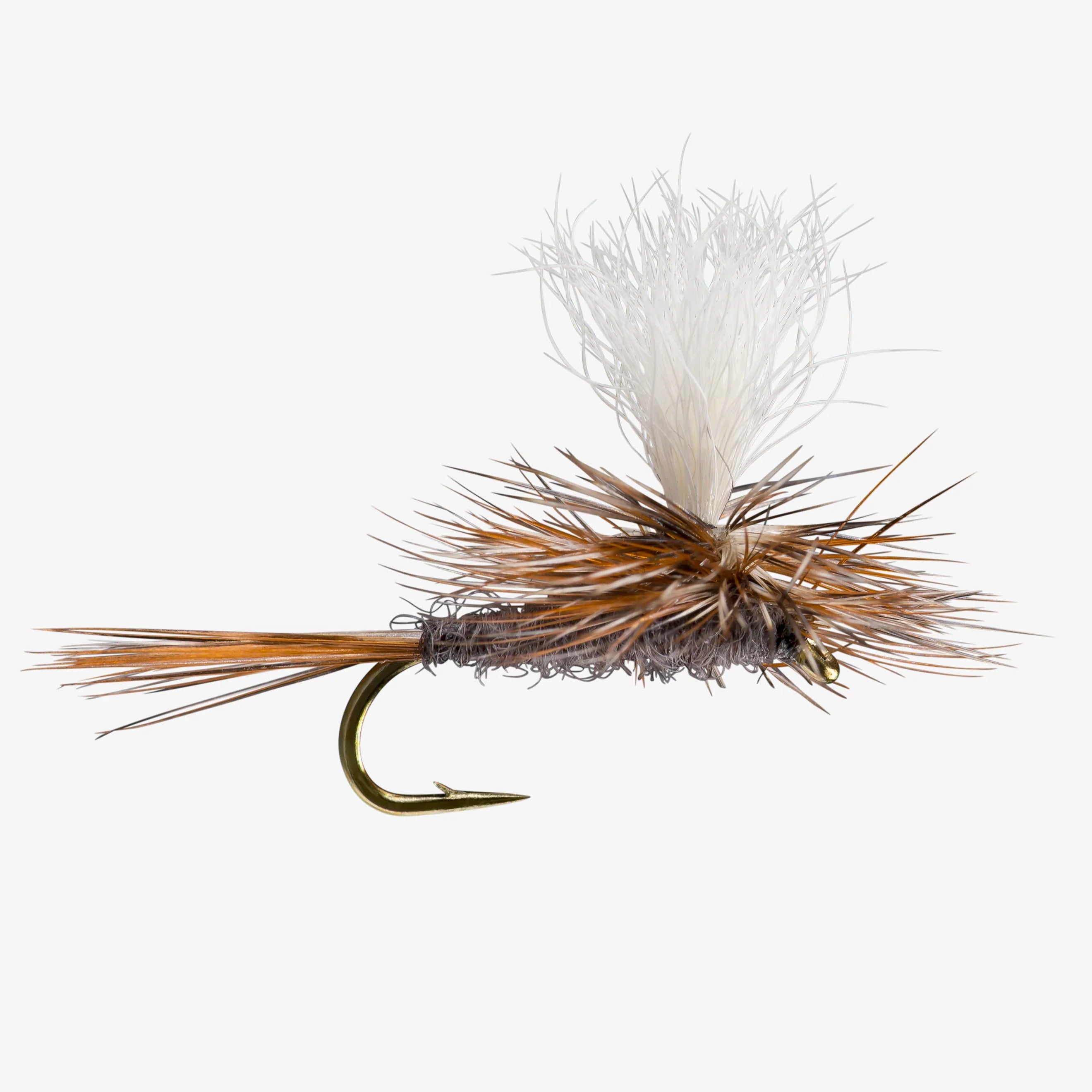 Trout Flies Variety Assortment (Pack of 12)
