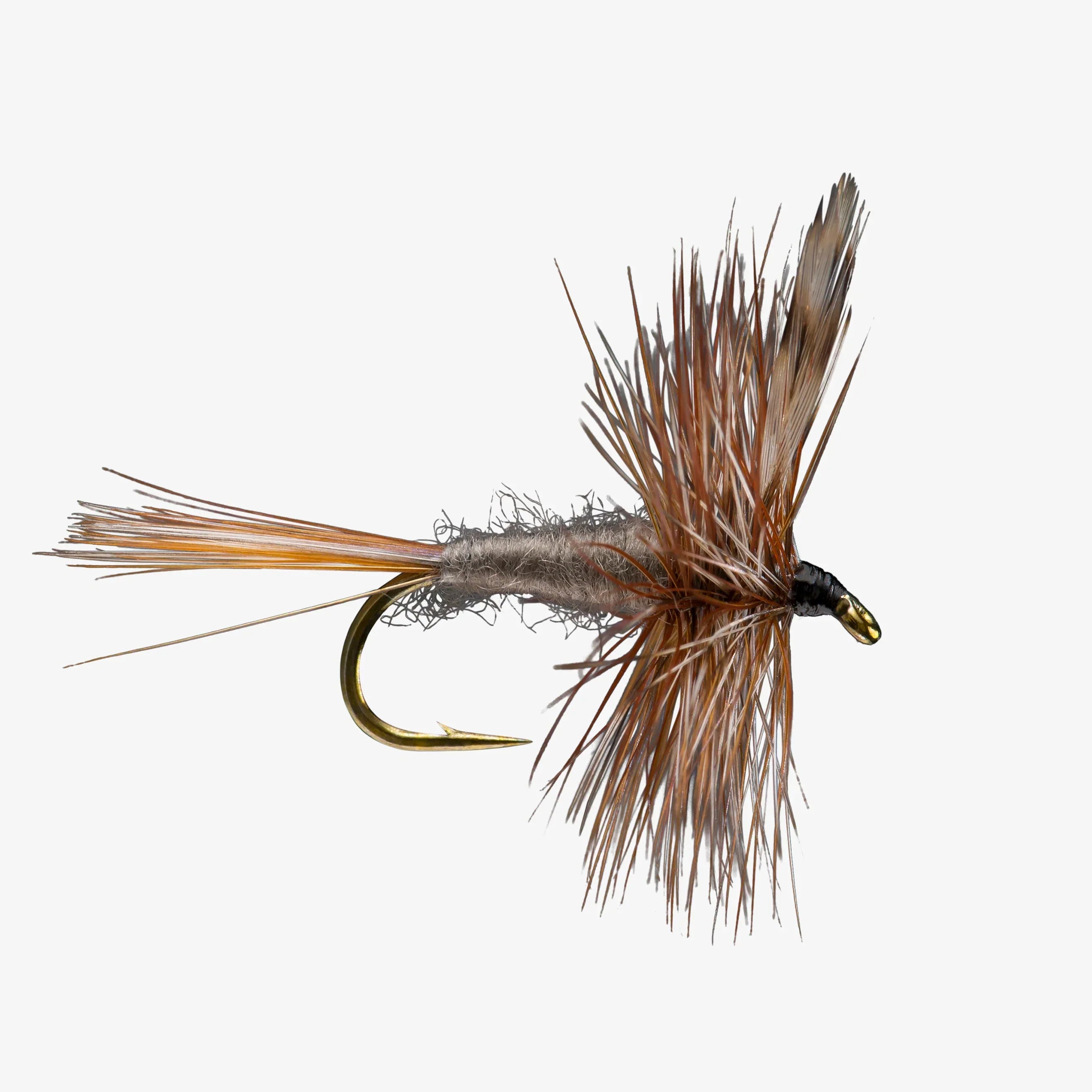 Trout Flies Variety Assortment (Pack of 12)