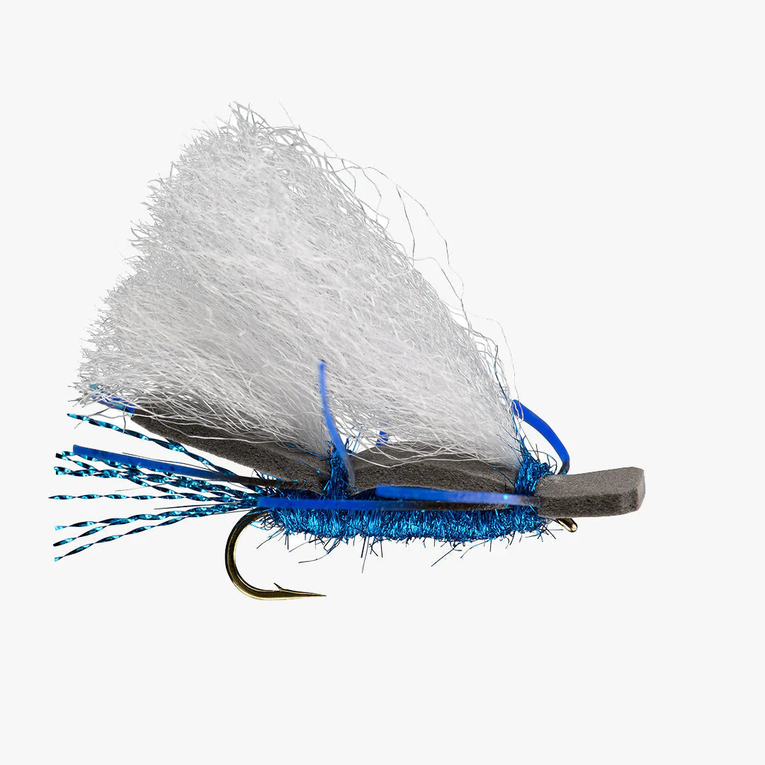 Trout Flies Variety Assortment (Pack of 12)