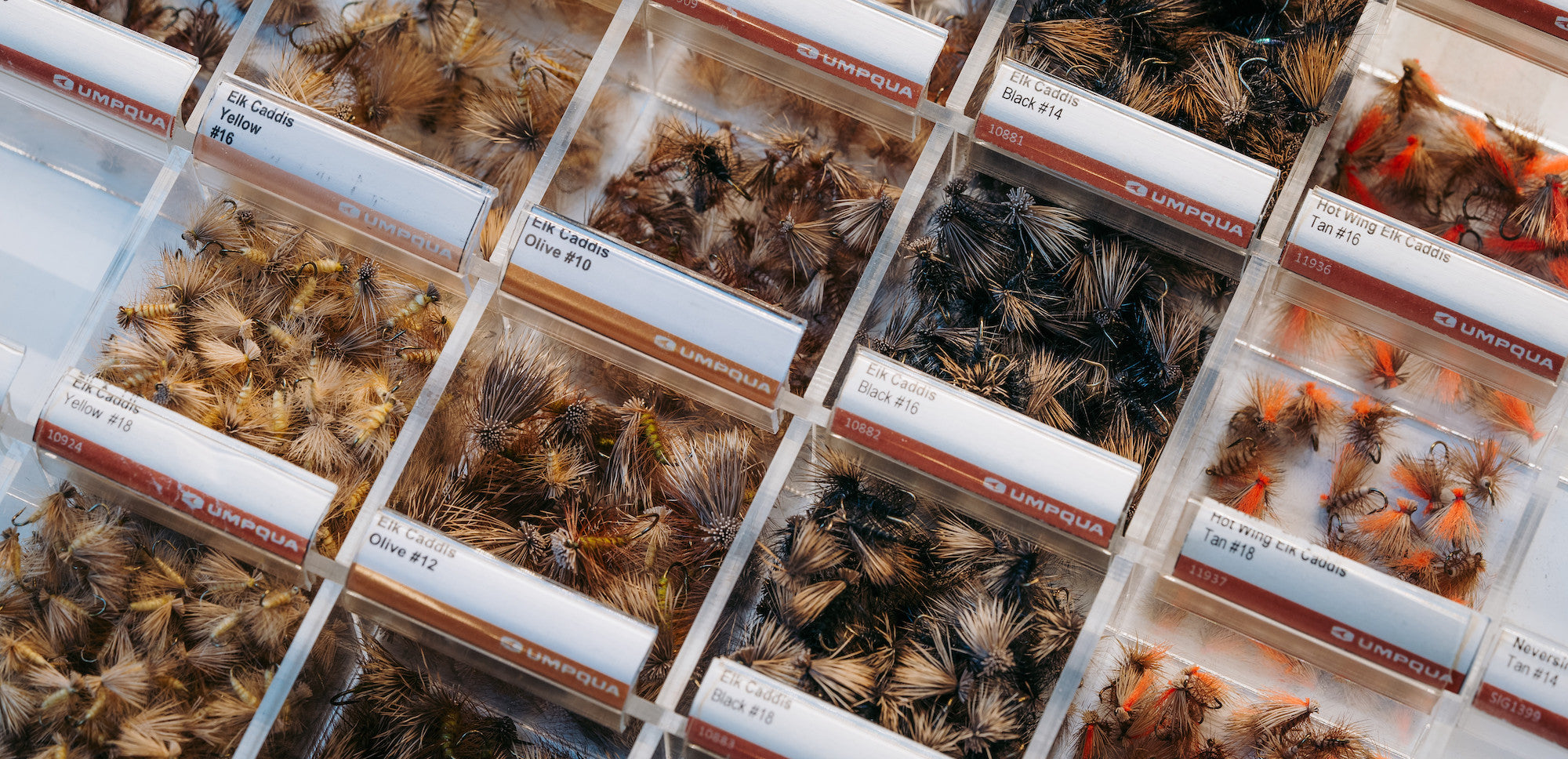 Umpqua Elk Caddis in Tan