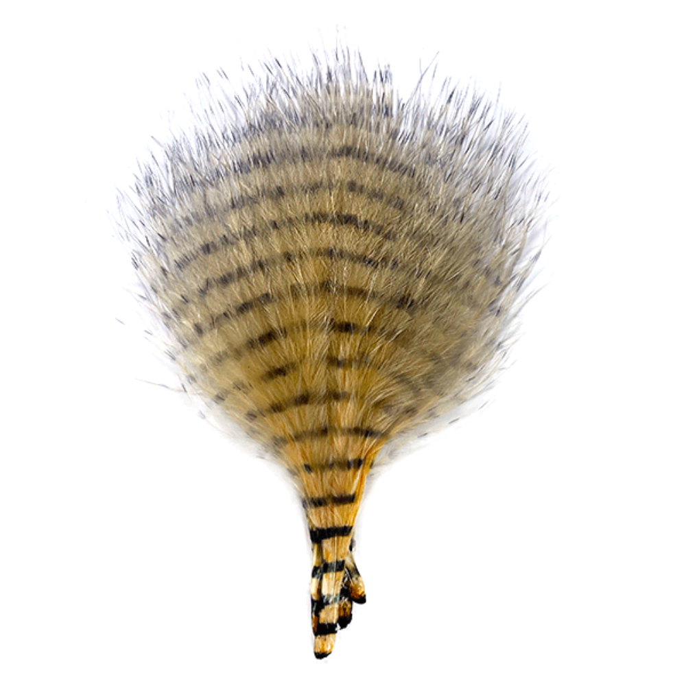 MFC Mini Barred Marabou