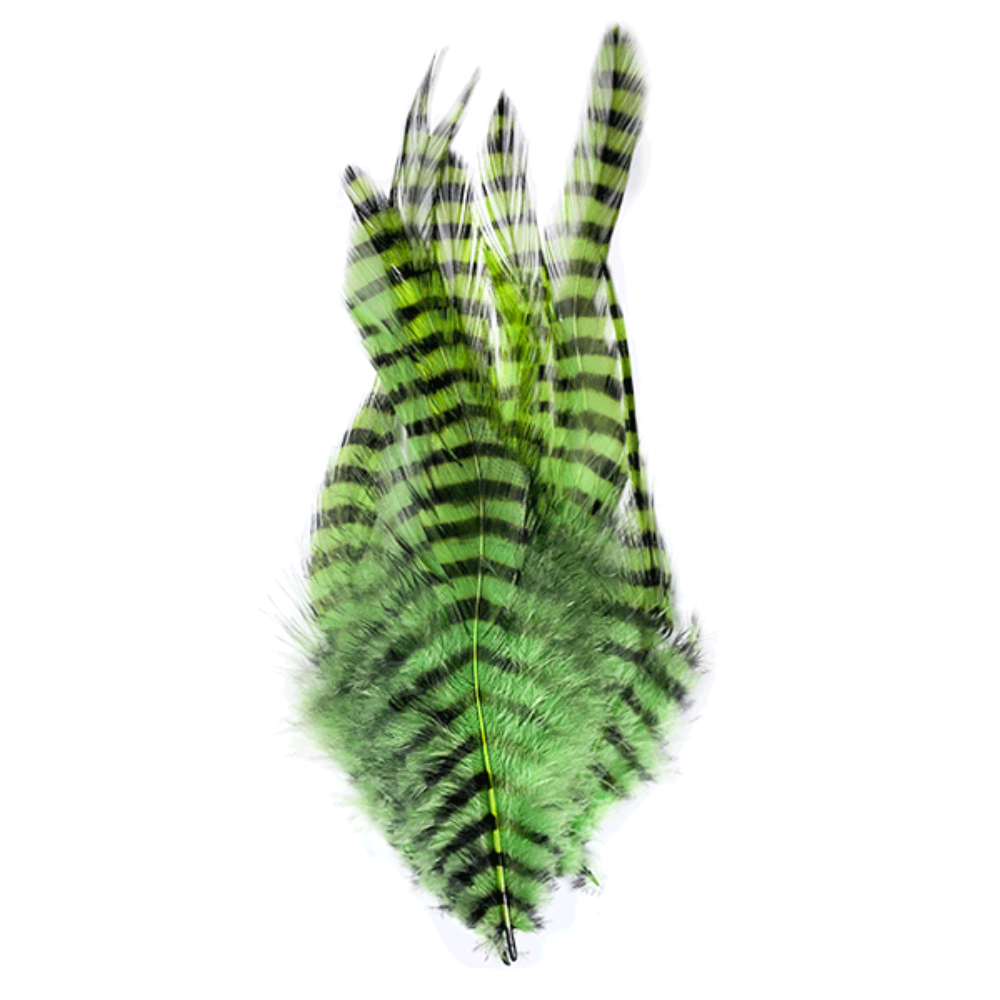 Barred Saddle Hackle