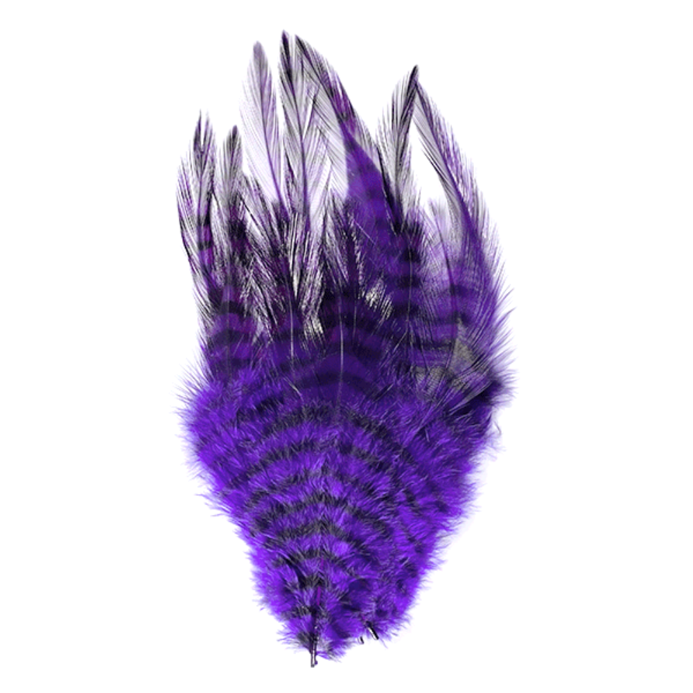 Barred Saddle Hackle