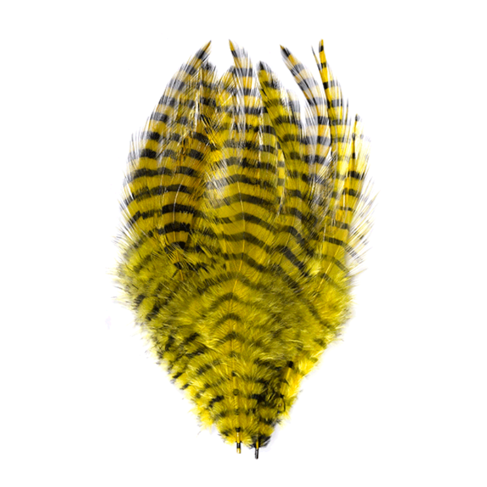 Barred Saddle Hackle