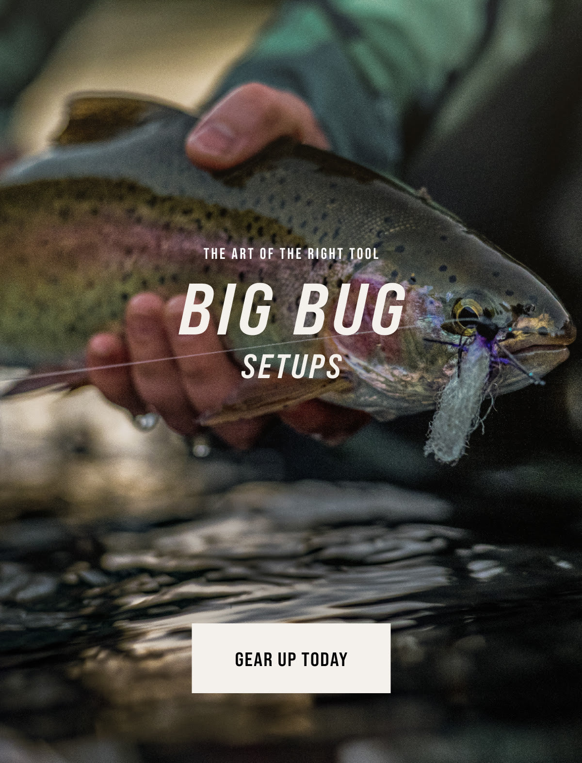 Trout Flies Variety Assortment (Pack of 12)