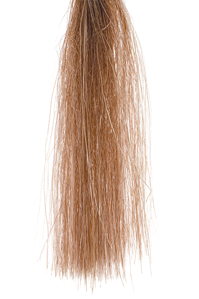 MFC Senyo's Shadow Fiber