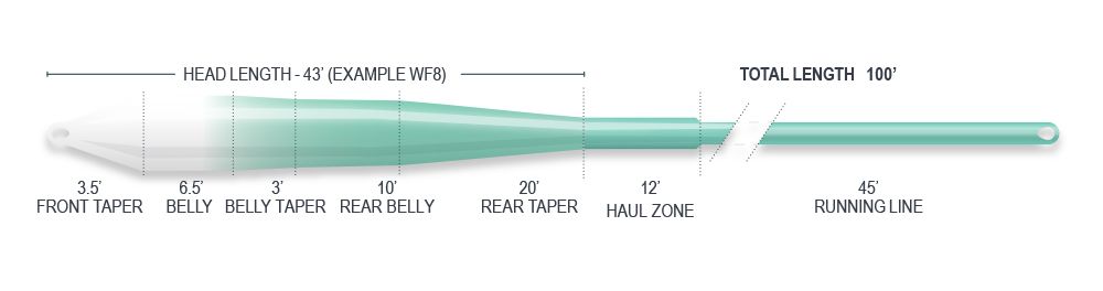 Airflo Clear Tip Flats Universal Saltwater Fly Line Taper specs
