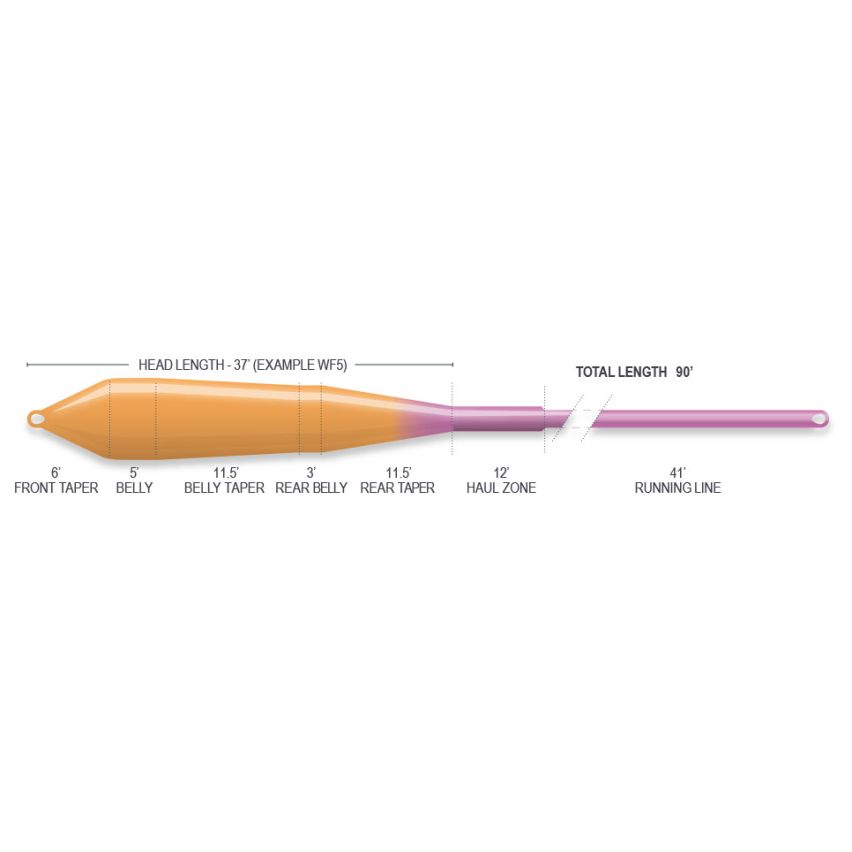 Airflo Superflo Power Taper Fly Line - Ridge 2.0