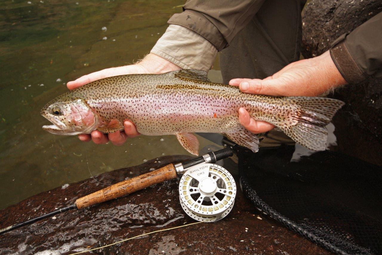 Shilton CR4 Reel (7-8wt) in Titanium Silver