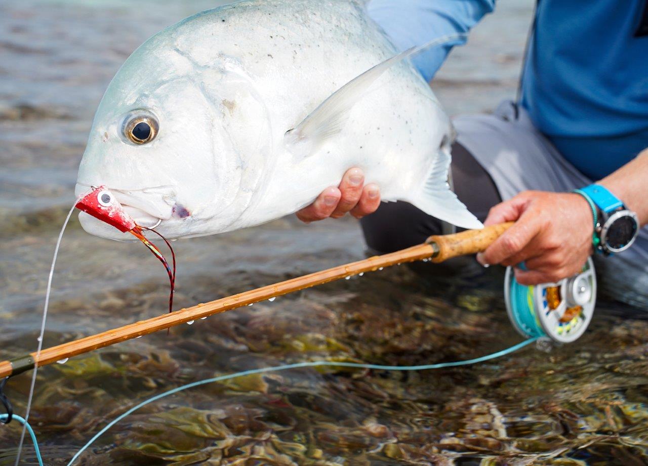 OPEN BOX Shilton SR12 Reels (12wt+) in "Red White & Blue"
