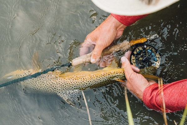 Winston AIR 2 6wt Fly Rod Combo Outfit with Reel & Line - New!