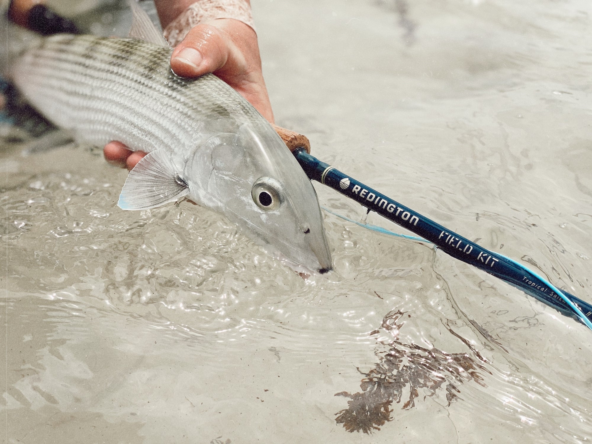 Redington TROPICAL Saltwater 8wt Field Kit - NEW! Fly Rod & Reel Combo w/ Case