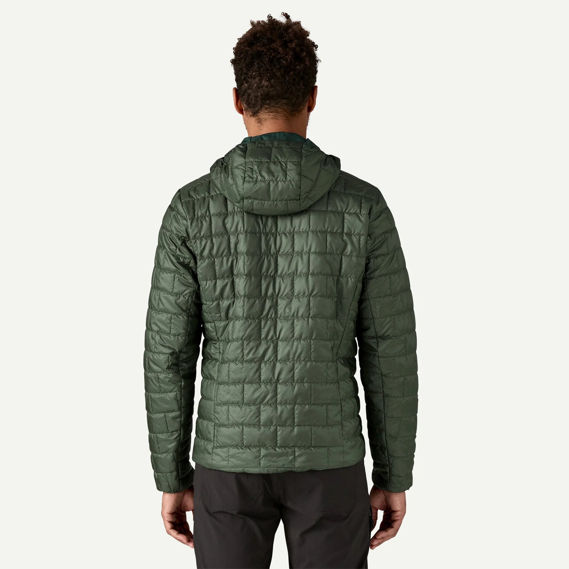 Patagonia Men's Nano Puff® Fitz Roy Trout Hoody in Old Growth Green - New!
