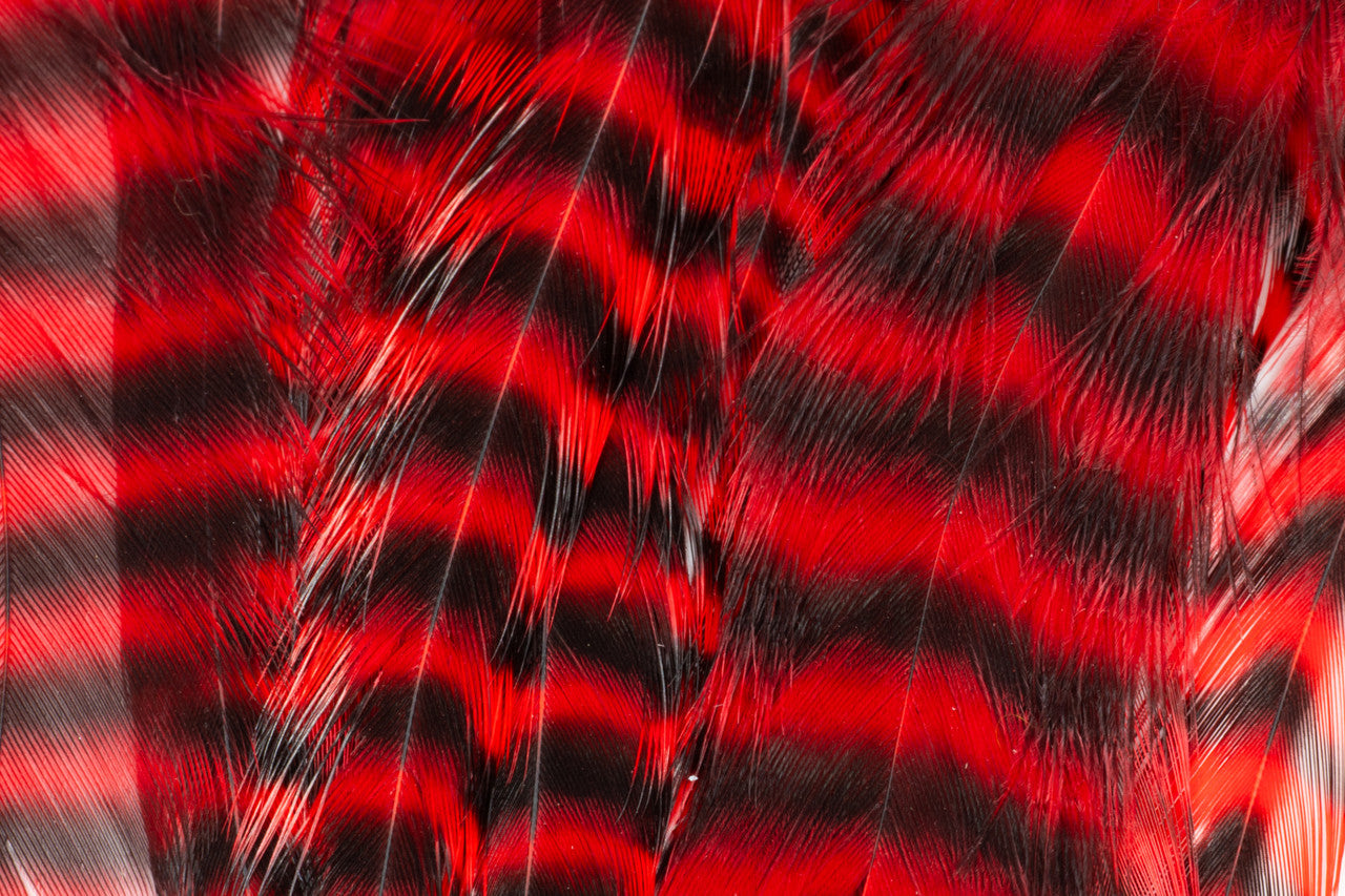 Metz Hackle Predator Pack