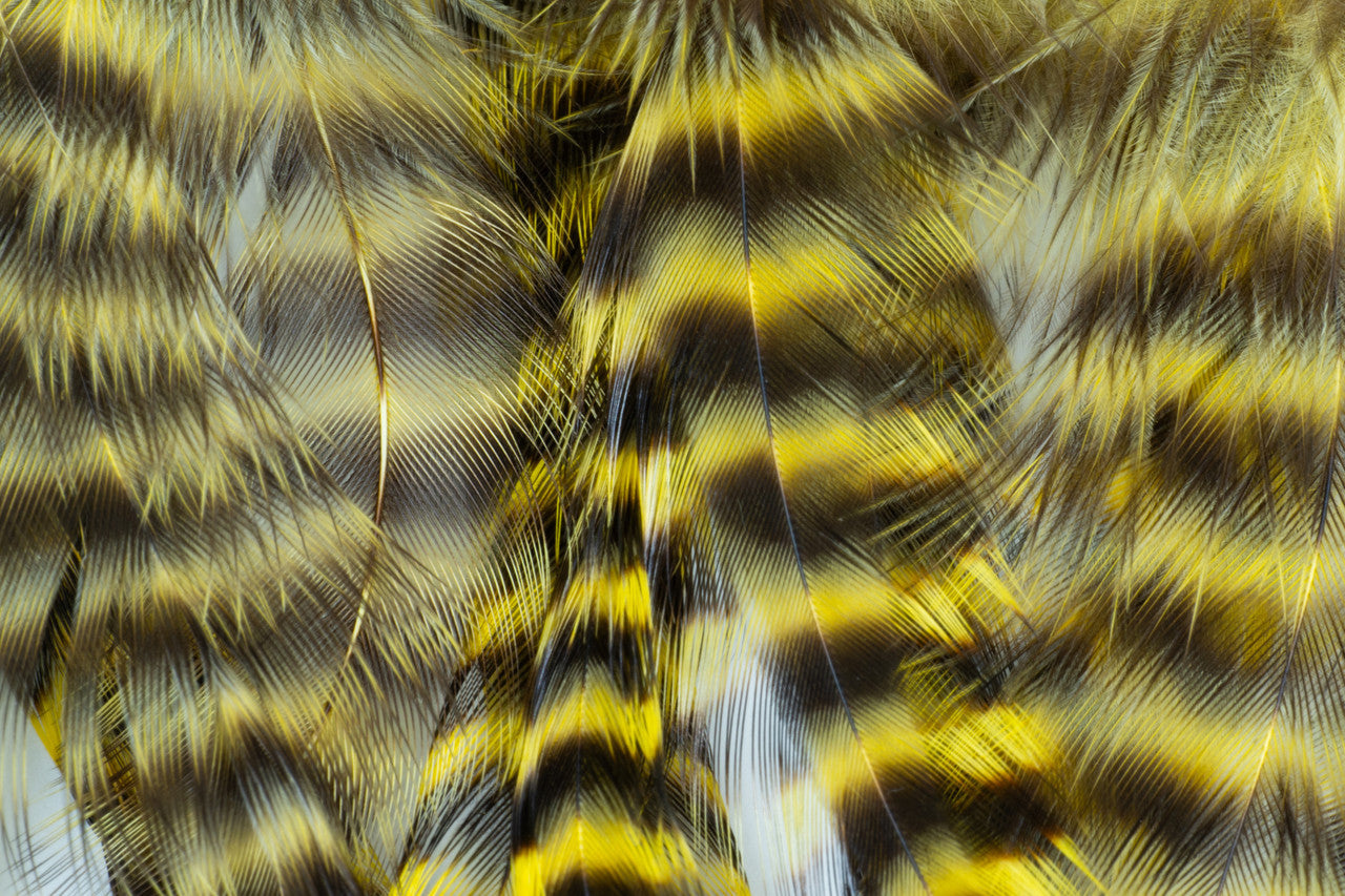 Metz Hackle Predator Pack