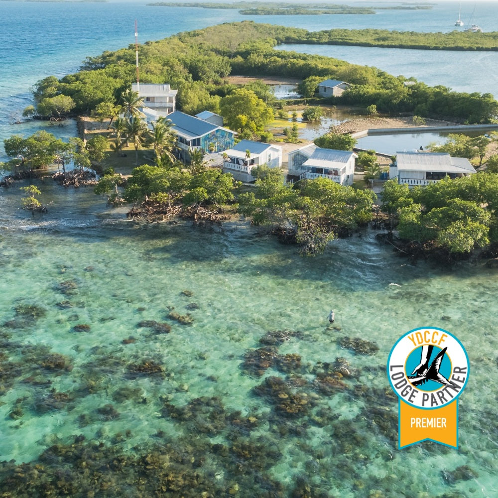 Blue Horizon Lodge