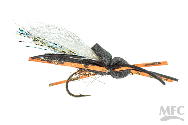 MFC Cards Cicada