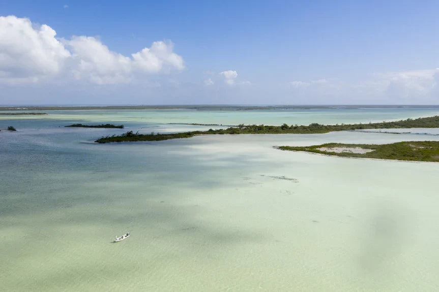 The Xflats - Mexico Fly Fishing Trips