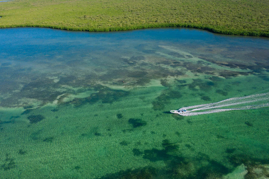 The Xflats - Mexico Fly Fishing Trips