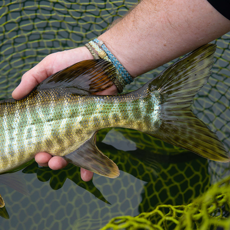 Pike Musky Sink 8