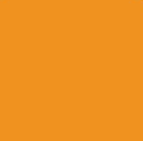 Flies Tier 4 - Orange
