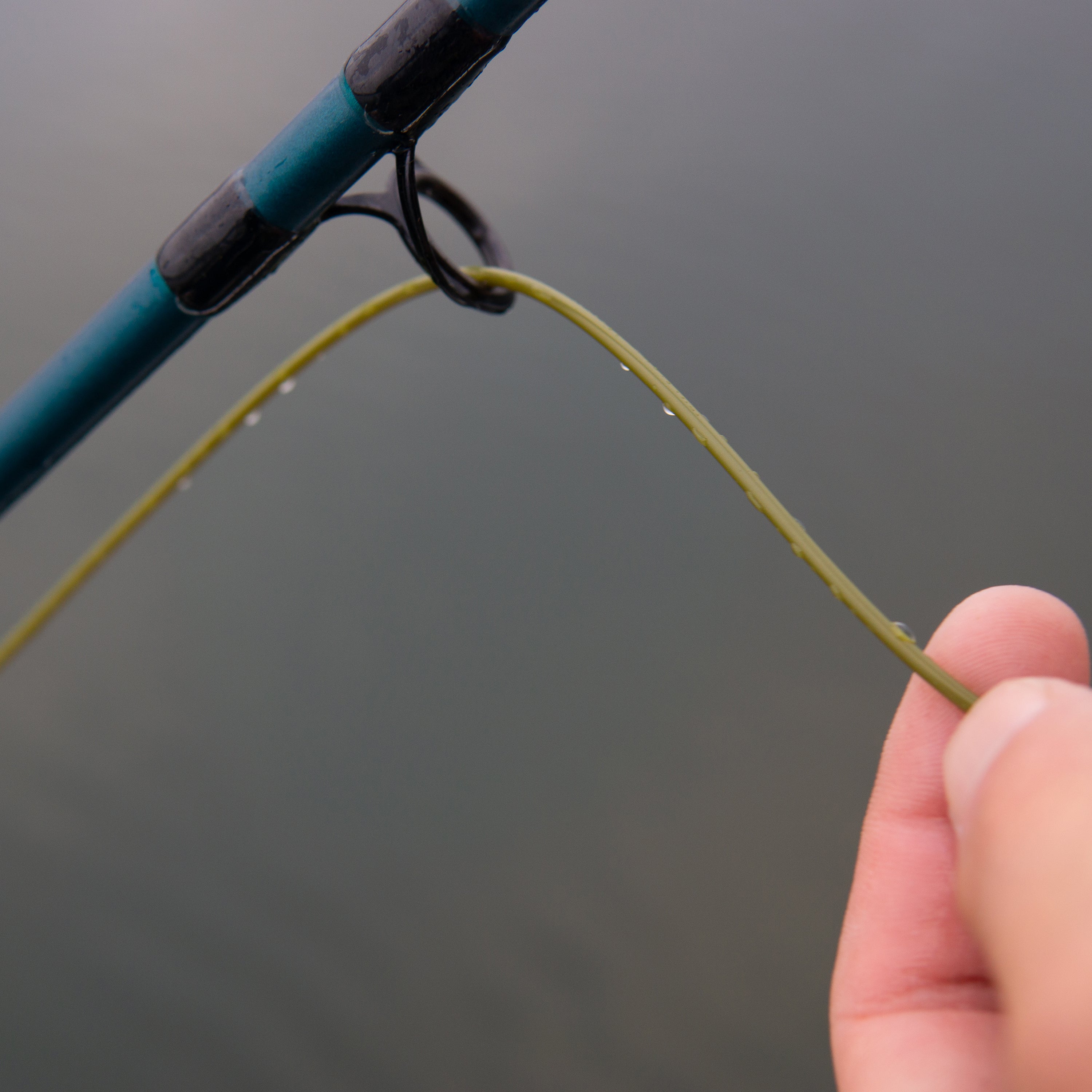 Pike Musky Intermediate