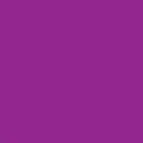 Flies Tier 6 - Purple