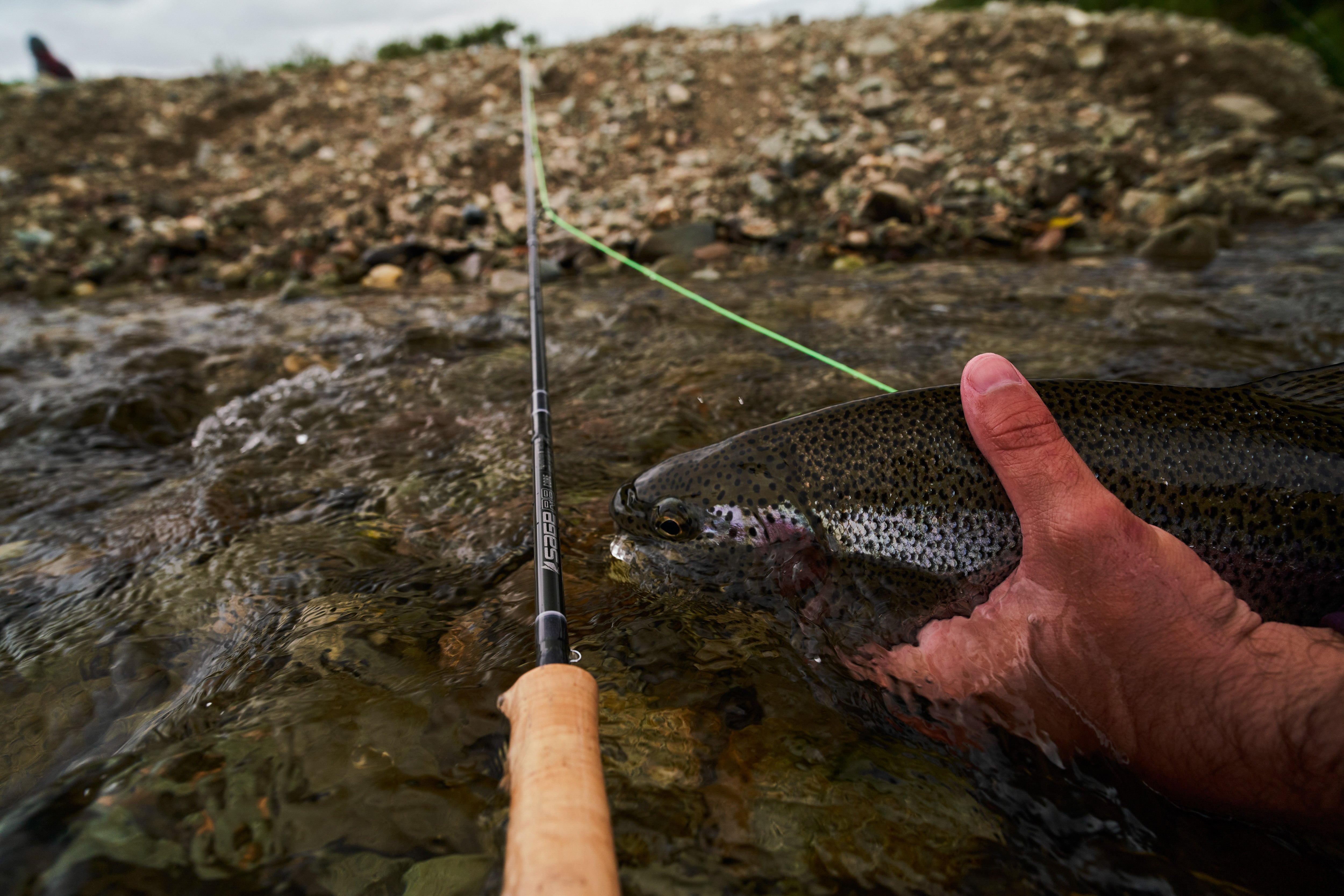 Sage R8 5wt 590-4 Fly Rods