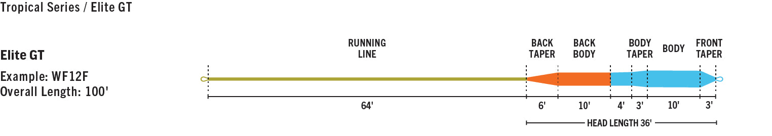 RIO Elite GT Fly Line - Updated for 2024!