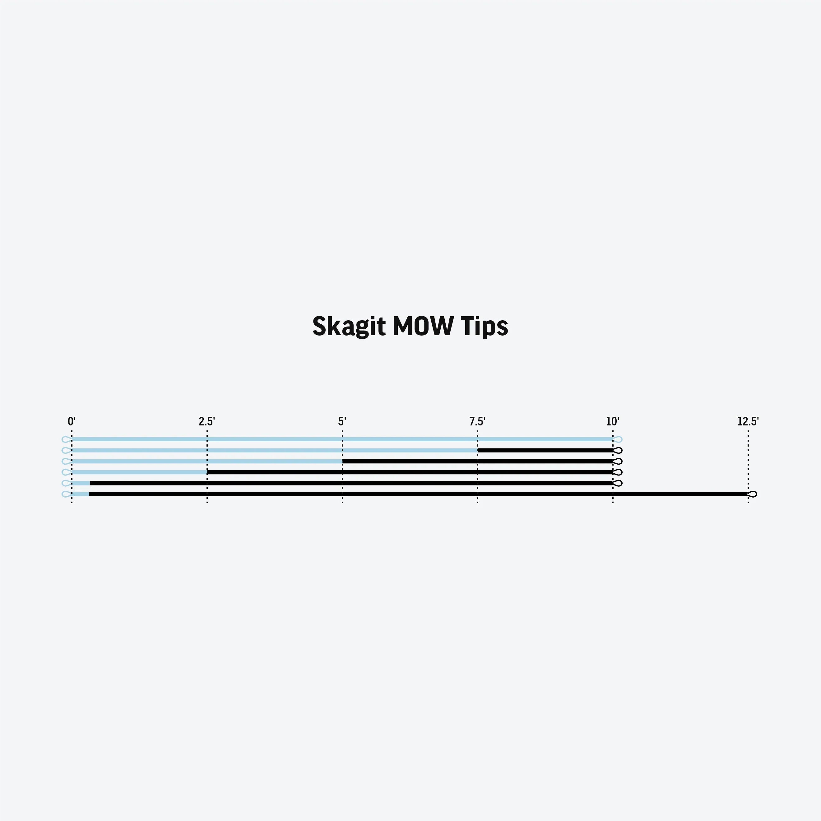 RIO Skagit MOW Tips
